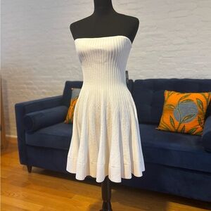 Express Strapless Knit Fit-and-Flare Dress